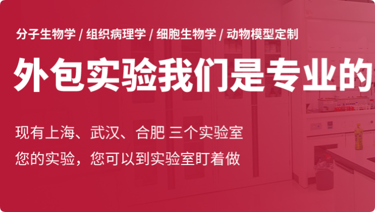 大械集团（DASE）生物医药集团企业