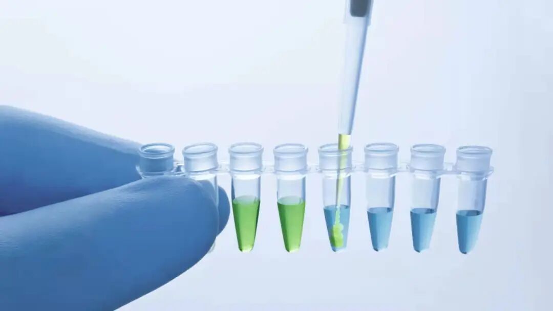 一图读懂PCR(耗材、试剂、仪器)的前世今生(销售必备)
