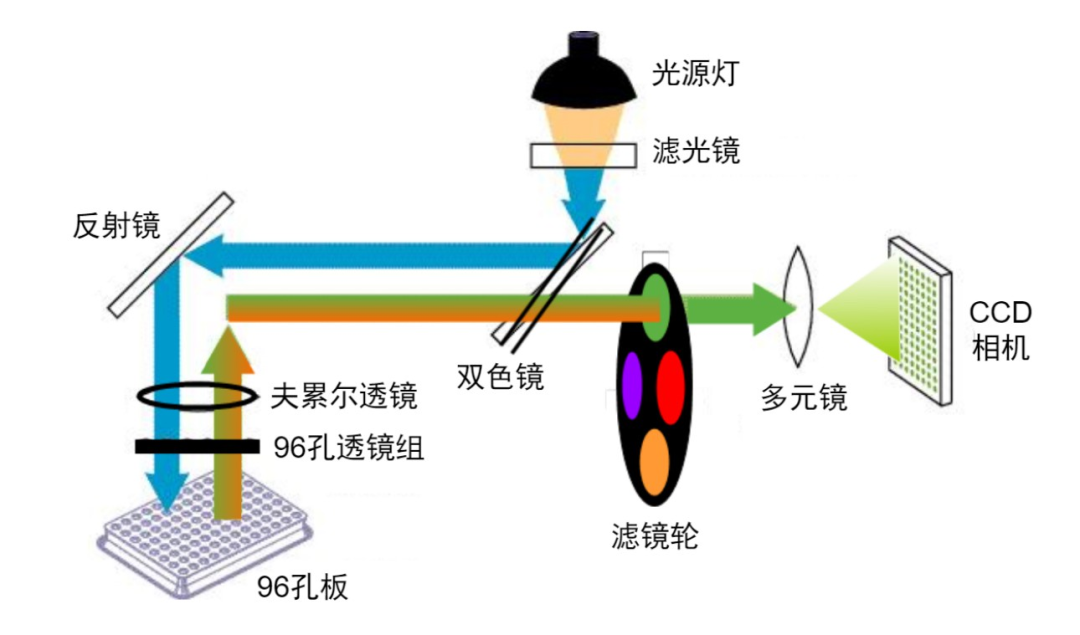 一图读懂PCR(耗材、试剂、仪器)的前世今生(销售必备)