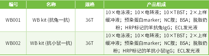 WB超级专题月 | 四 WB全套试剂选择指南