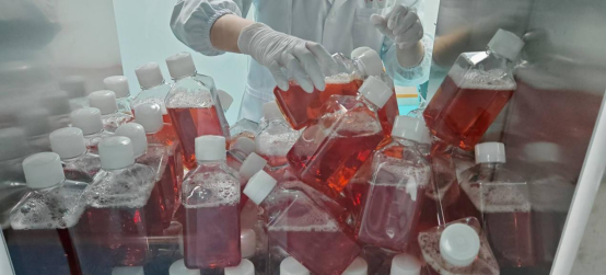 武汉研谷生物技术有限公司
