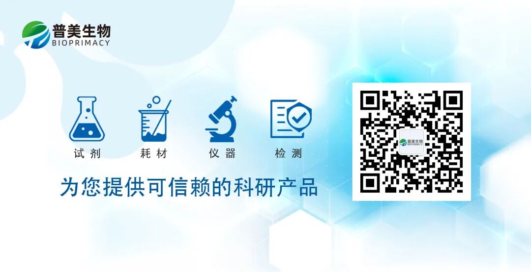 活动促销丨普美生物2026年3-6月大型促销活动火热进行中