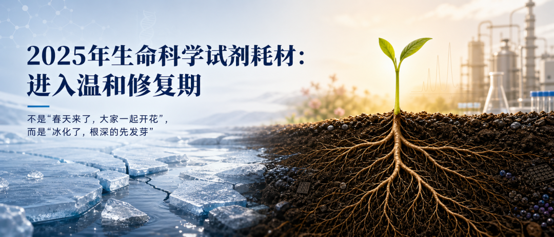 2025年报总结：生命科学试剂耗材，走出最差阶段，进入温和修复期