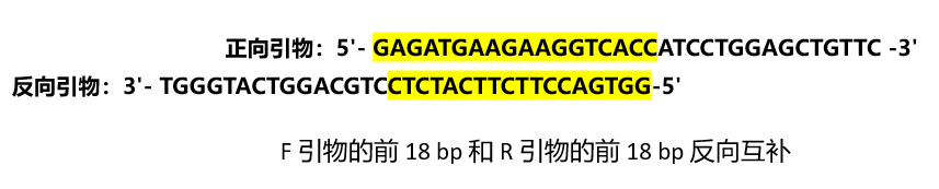 十分钟教会你:如何搞定蛋白定点缺失突变