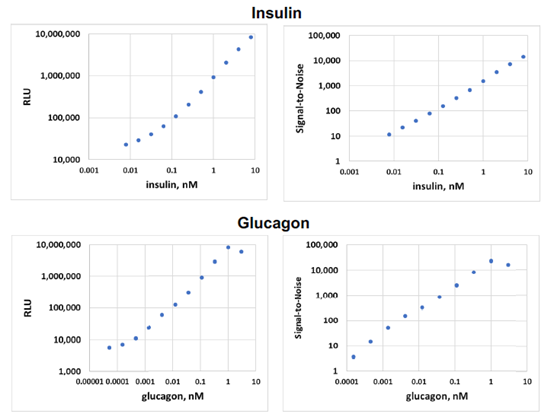 均质型免洗 | Lumit® Insulin用于检测胰岛素释放实验(GSIS)
