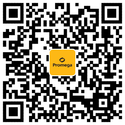 均质型免洗 | Lumit® Insulin用于检测胰岛素释放实验(GSIS)