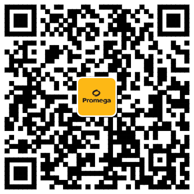 均质型免洗 | Lumit® Insulin用于检测胰岛素释放实验(GSIS)