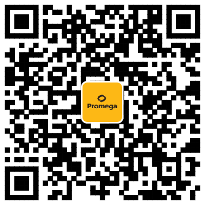 均质型免洗 | Lumit® Insulin用于检测胰岛素释放实验(GSIS)