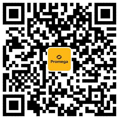 均质型免洗 | Lumit® Insulin用于检测胰岛素释放实验(GSIS)