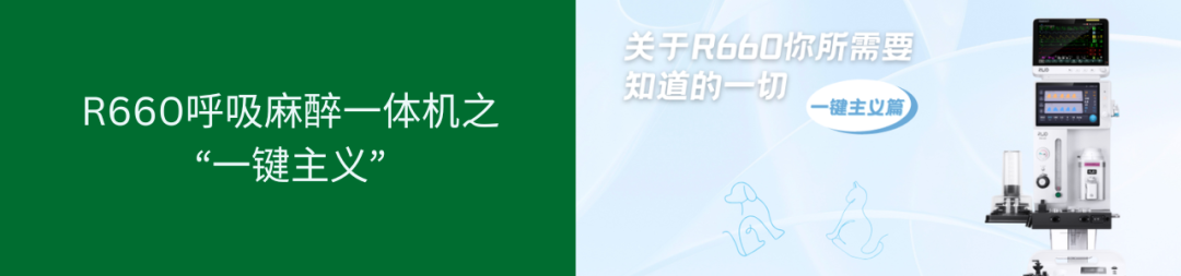 2026瑞沃德「兽医呼吸麻醉与牙科专项训练营」|多城巡讲