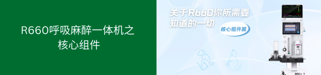 2026瑞沃德「兽医呼吸麻醉与牙科专项训练营」|多城巡讲