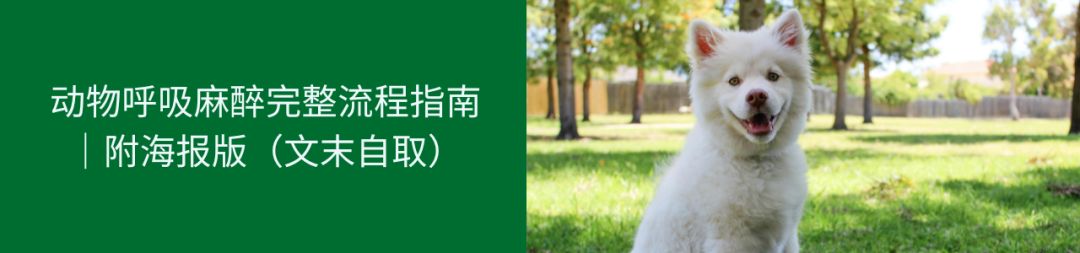 2026瑞沃德「兽医呼吸麻醉与牙科专项训练营」|多城巡讲
