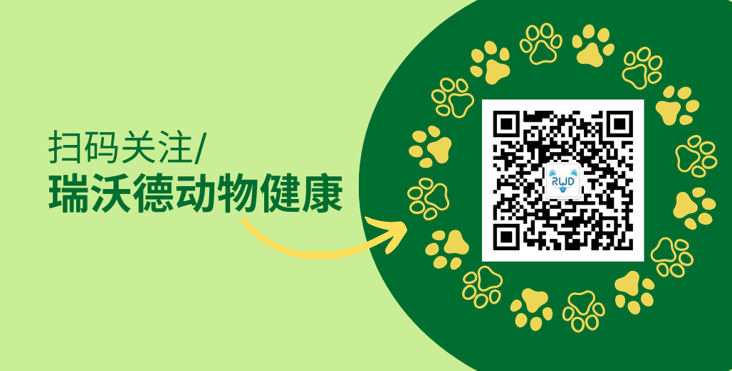 2026瑞沃德「兽医呼吸麻醉与牙科专项训练营」|多城巡讲