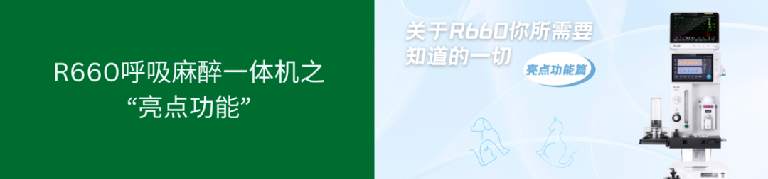 2026瑞沃德「兽医呼吸麻醉与牙科专项训练营」|多城巡讲