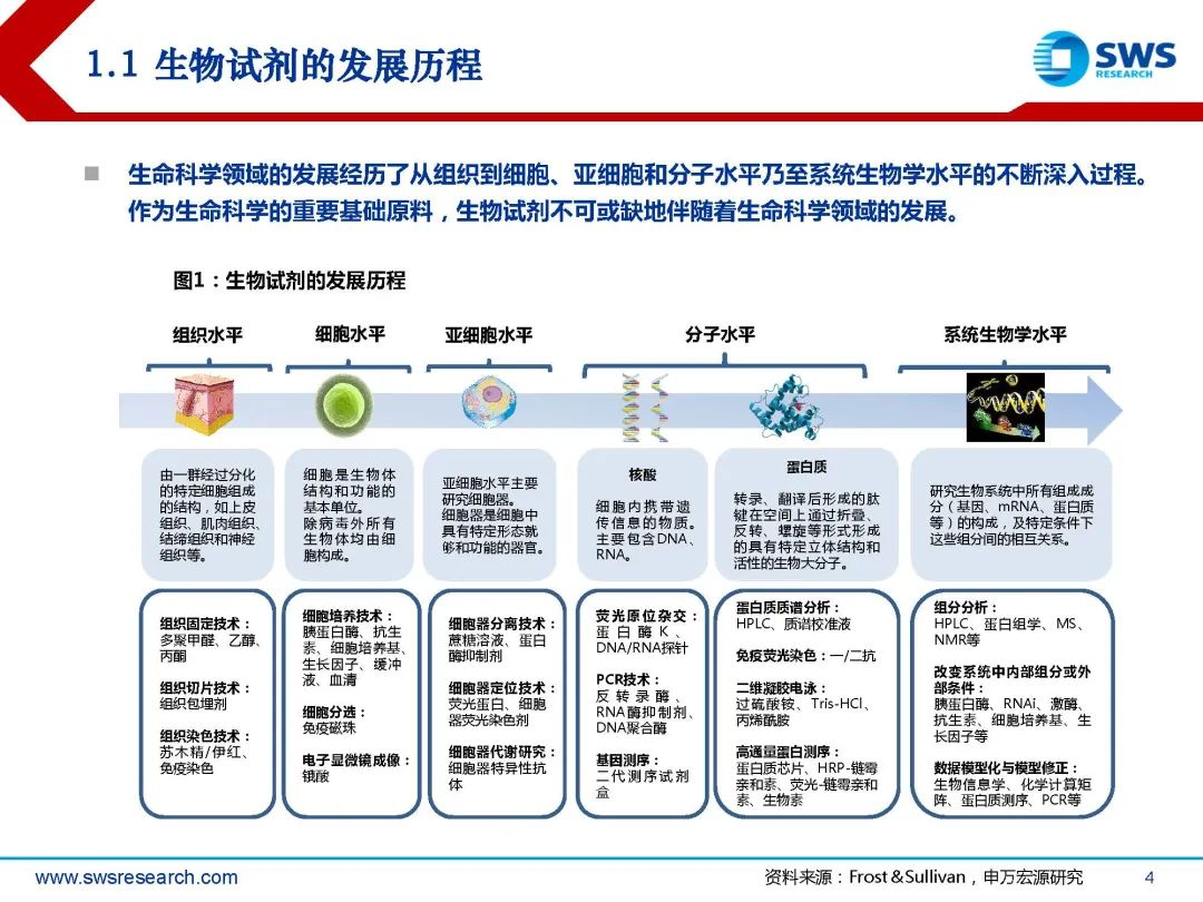 生物试剂行业深度行研:扶摇直上九万里,国产替代正当时
