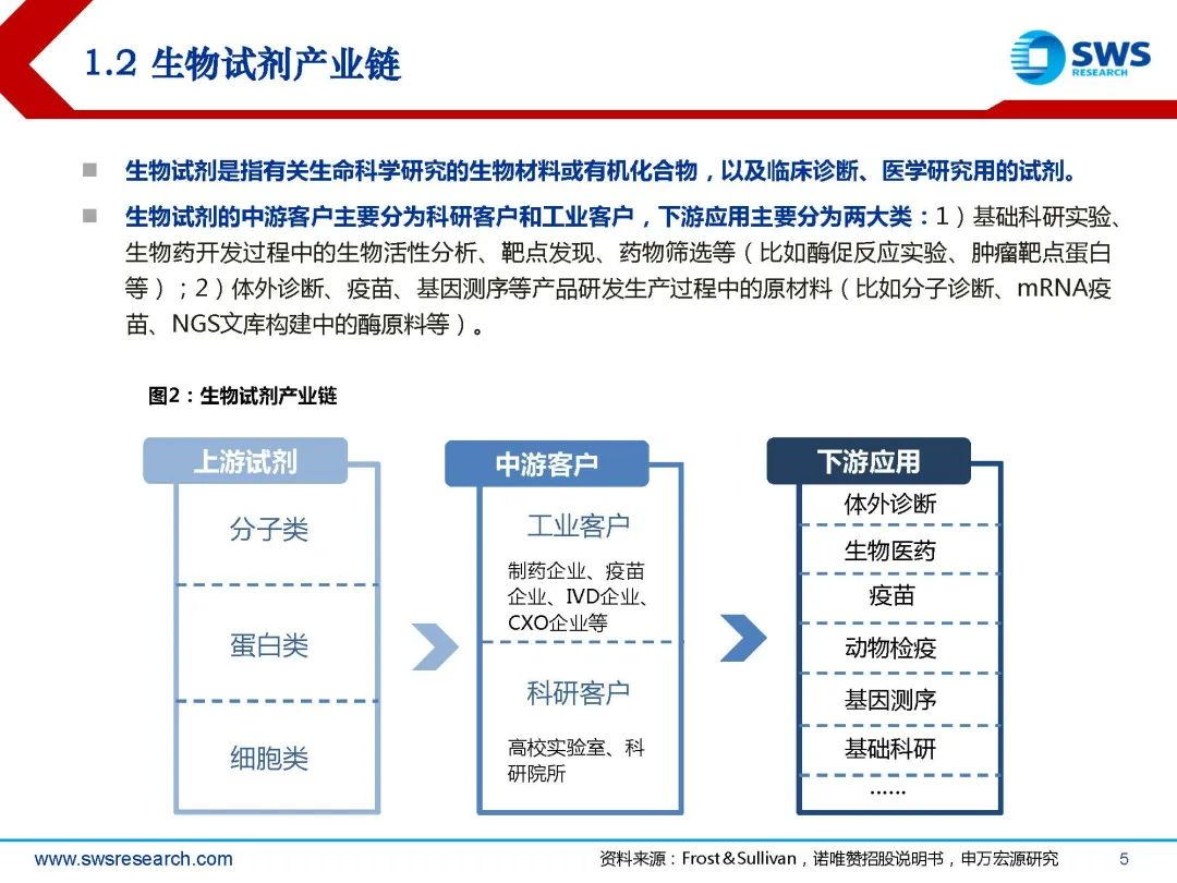 生物试剂行业深度行研:扶摇直上九万里,国产替代正当时