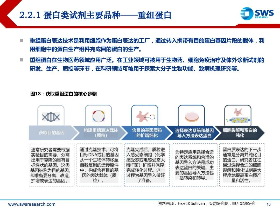 生物试剂行业深度行研:扶摇直上九万里,国产替代正当时