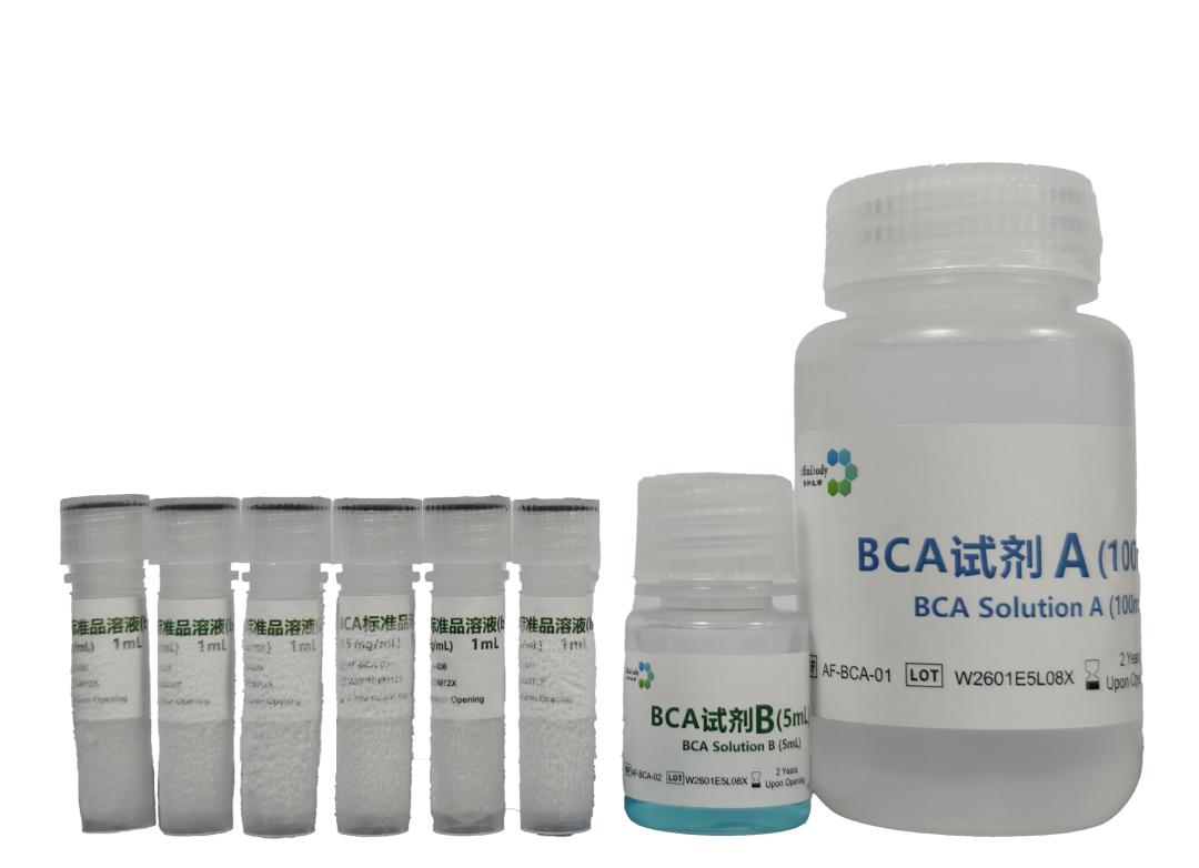 上新|BCA蛋白浓度测定试剂盒