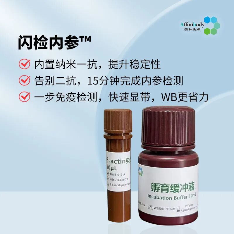 上新|BCA蛋白浓度测定试剂盒