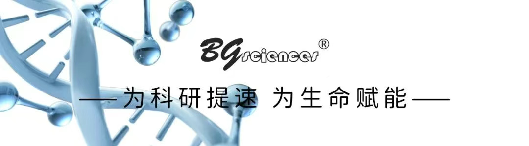 新仪器入驻｜RFLSI ZW激光散斑血流成像系统已就位