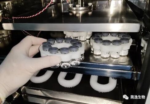 提高​冻干试剂产品的研发效率