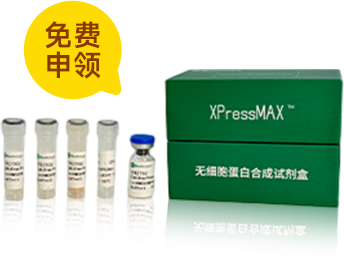 【申请0元试用】XpressMAX™无细胞蛋白合成试剂盒