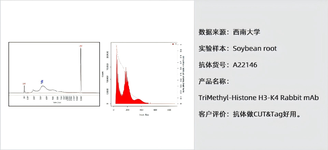 一支抗体,如何让“实验重复不出来”的噩梦成为过去?