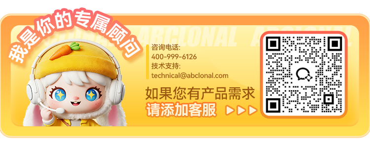 尾部图.png