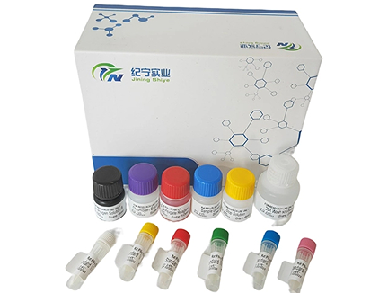 纪宁生物人细胞色素P45011B1(CYP11B1)ELISA试剂盒介绍