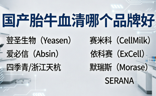 国产胎牛血清有哪些品牌可以推荐?