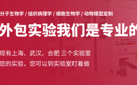 大械产品清单-WB实验需要准备的试剂和耗材推荐