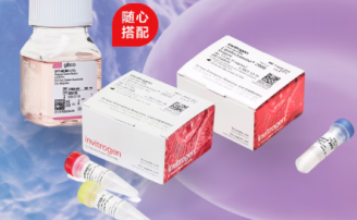 Lipofectamine2000 高效转染随心配