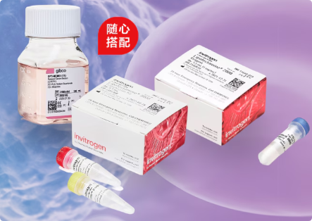 Lipo2000搭配Lipo3000/Optimem/青链霉素/RNAiMAX4选一，惊喜组合价¥2899