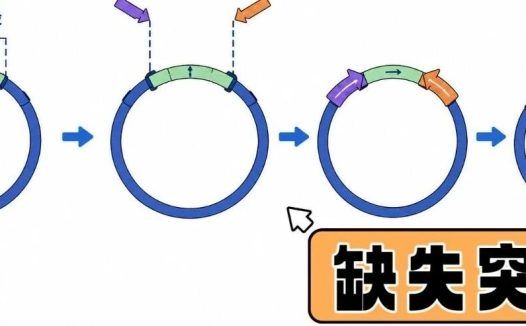十分钟教会你:如何搞定蛋白定点缺失突变