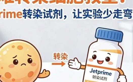 难转染细胞救星!jetPRime 转染试剂,让实验少走弯路!