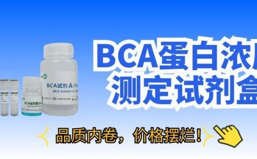 上新|BCA蛋白浓度测定试剂盒